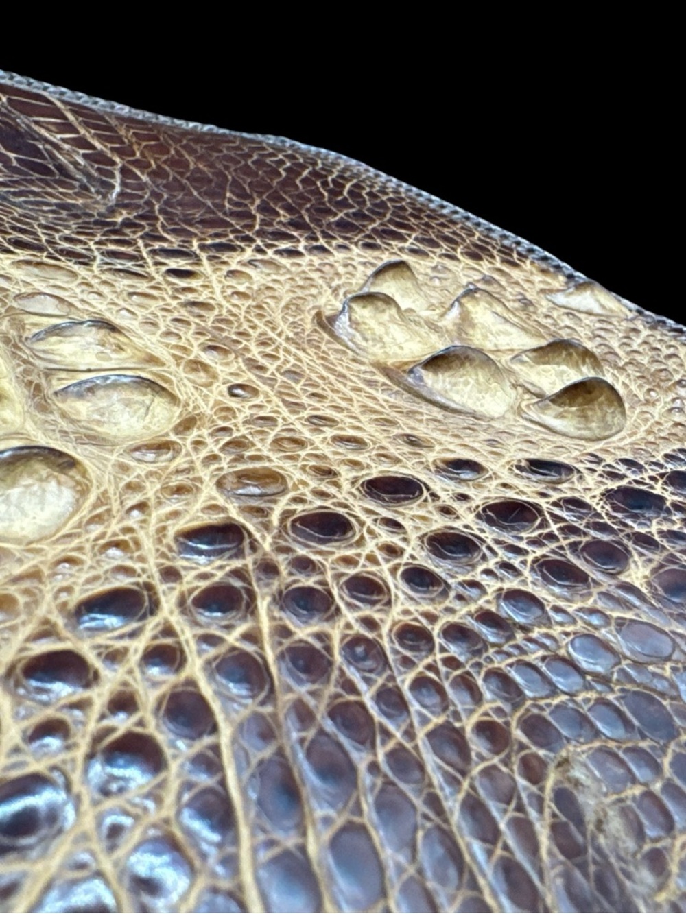 Vintage Crocodile Store Bangkok Crocodile Leather Clutch Purse 13” Genuine Croc - Picture 6 of 10